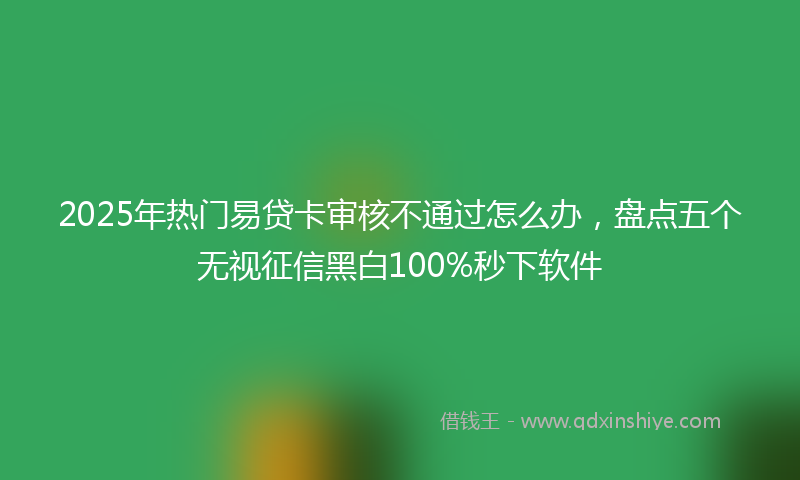 2025年热门易贷卡审核不通过怎么办，盘点五个无视征信黑白100%秒下软件