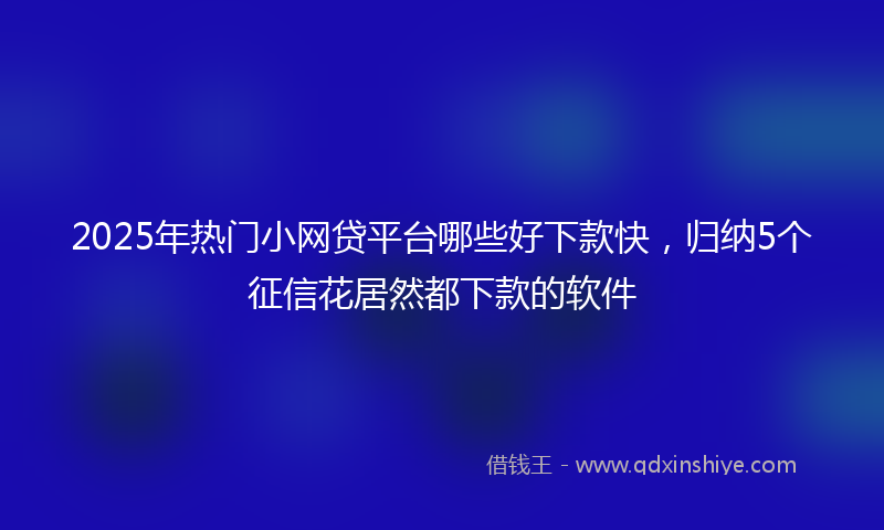 2025年热门小网贷平台哪些好下款快，归纳5个征信花居然都下款的软件