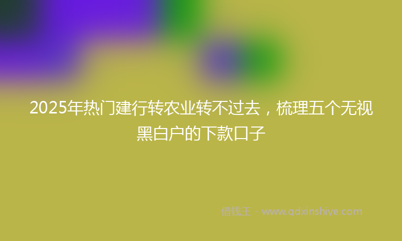 2025年热门建行转农业转不过去，梳理五个无视黑白户的下款口子