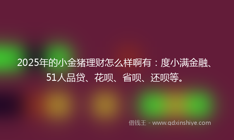 2025年的小金猪理财怎么样啊有：度小满金融、51人品贷、花呗、省呗、还呗等。