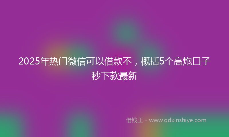 2025年热门微信可以借款不，概括5个高炮口子秒下款最新