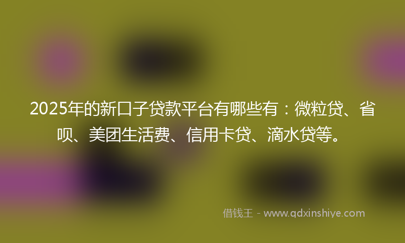 2025年的新口子贷款平台有哪些有：微粒贷、省呗、美团生活费、信用卡贷、滴水贷等。