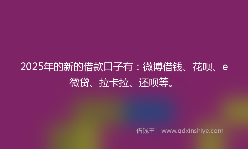 2025年的新的借款口子有：微博借钱、花呗、e微贷、拉卡拉、还呗等。