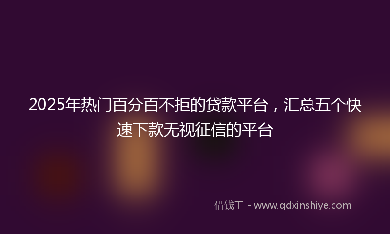2025年热门百分百不拒的贷款平台，汇总五个快速下款无视征信的平台