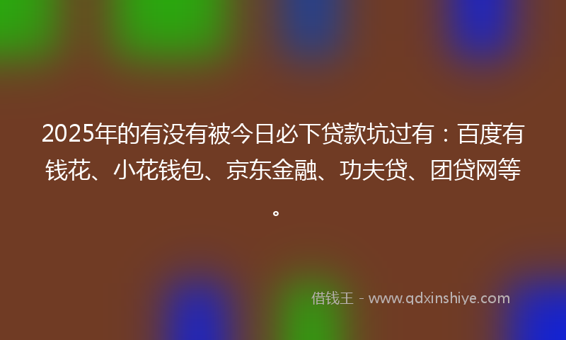 2025年的有没有被今日必下贷款坑过有：百度有钱花、小花钱包、京东金融、功夫贷、团贷网等。
