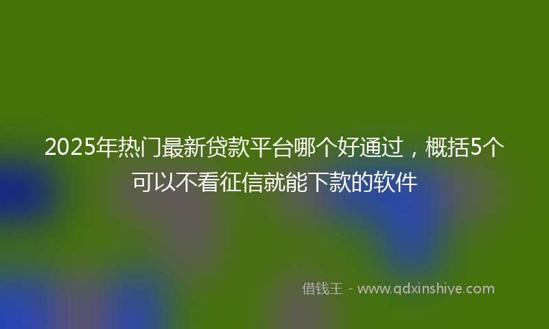 2025年热门最新贷款平台哪个好通过，概括5个可以不看征信就能下款的软件