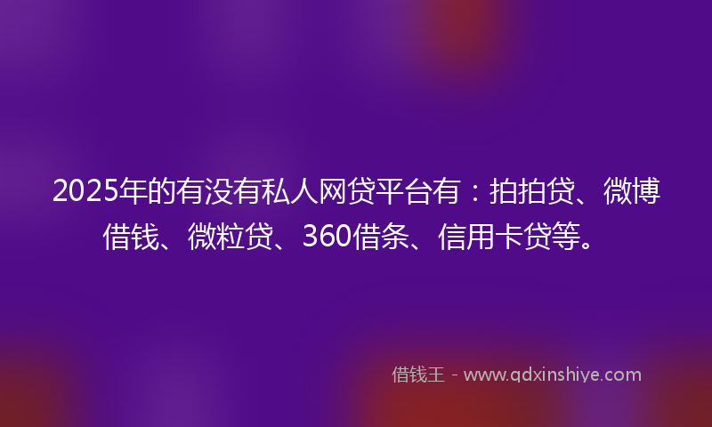 2025年的有没有私人网贷平台有：拍拍贷、微博借钱、微粒贷、360借条、信用卡贷等。