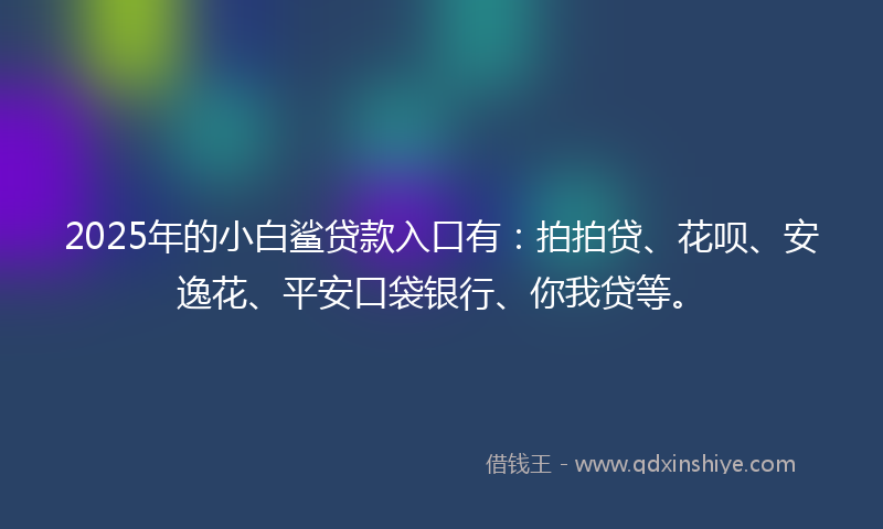 2025年的小白鲨贷款入口有：拍拍贷、花呗、安逸花、平安口袋银行、你我贷等。