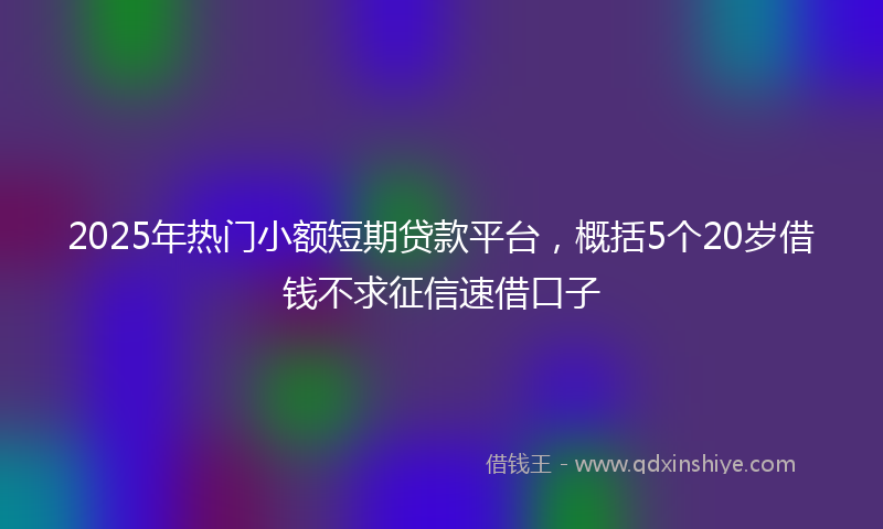 2025年热门小额短期贷款平台，概括5个20岁借钱不求征信速借口子