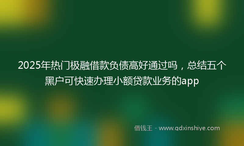 2025年热门极融借款负债高好通过吗，总结五个黑户可快速办理小额贷款业务的app