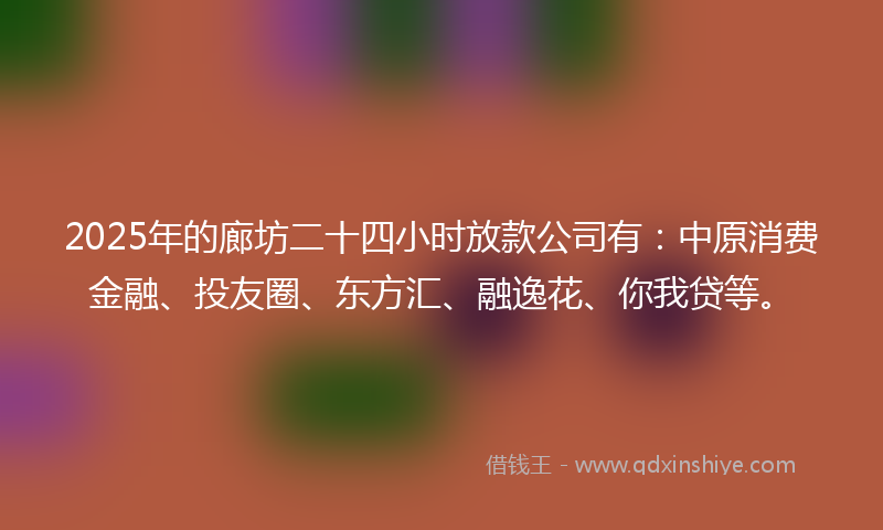 2025年的廊坊二十四小时放款公司有：中原消费金融、投友圈、东方汇、融逸花、你我贷等。