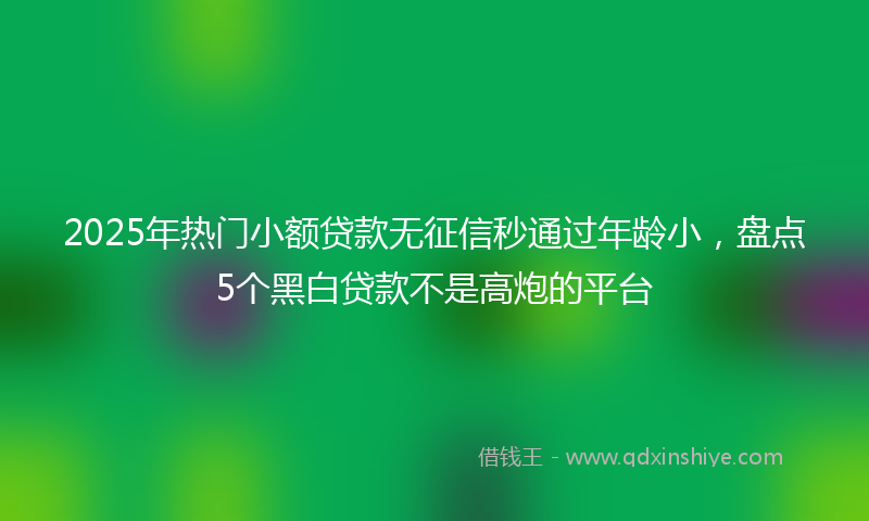 2025年热门小额贷款无征信秒通过年龄小，盘点5个黑白贷款不是高炮的平台