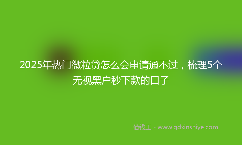 2025年热门微粒贷怎么会申请通不过，梳理5个无视黑户秒下款的口子
