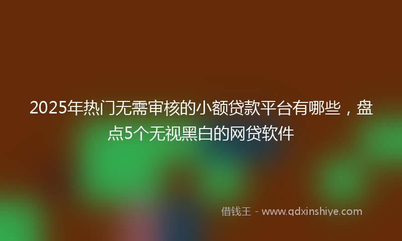 2025年热门无需审核的小额贷款平台有哪些，盘点5个无视黑白的网贷软件