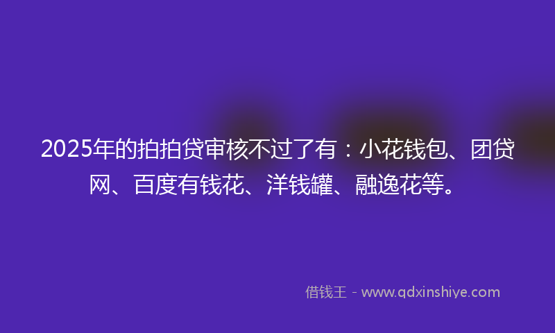 2025年的拍拍贷审核不过了有：小花钱包、团贷网、百度有钱花、洋钱罐、融逸花等。