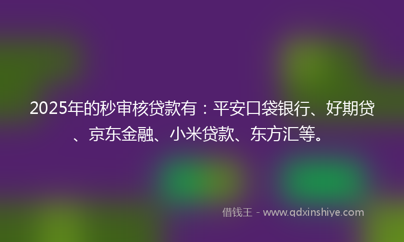 2025年的秒审核贷款有：平安口袋银行、好期贷、京东金融、小米贷款、东方汇等。