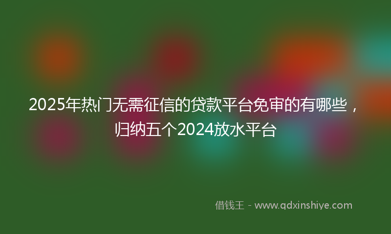 2025年热门无需征信的贷款平台免审的有哪些，归纳五个2024放水平台