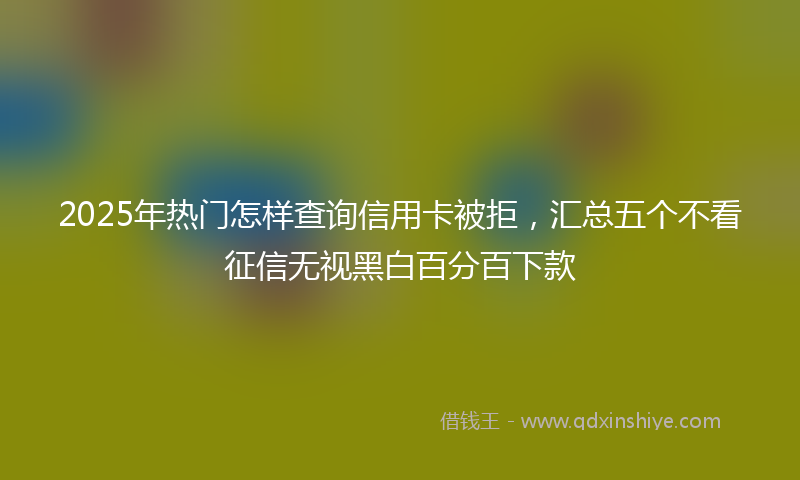 2025年热门怎样查询信用卡被拒，汇总五个不看征信无视黑白百分百下款