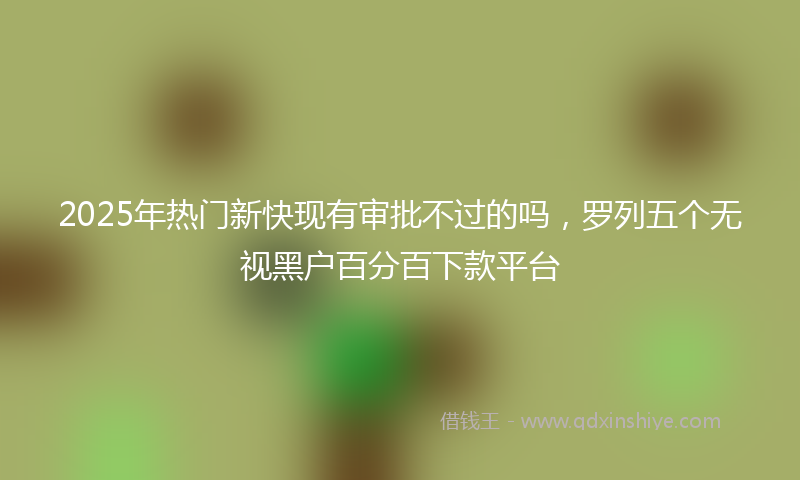 2025年热门新快现有审批不过的吗，罗列五个无视黑户百分百下款平台
