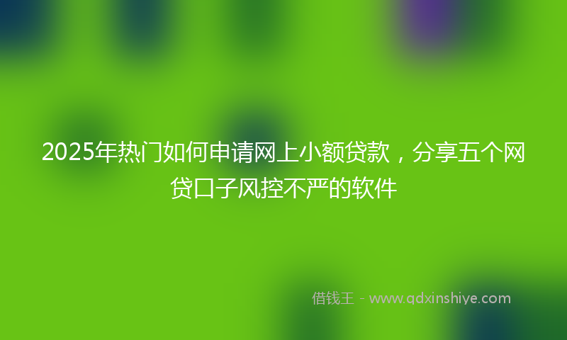2025年热门如何申请网上小额贷款，分享五个网贷口子风控不严的软件
