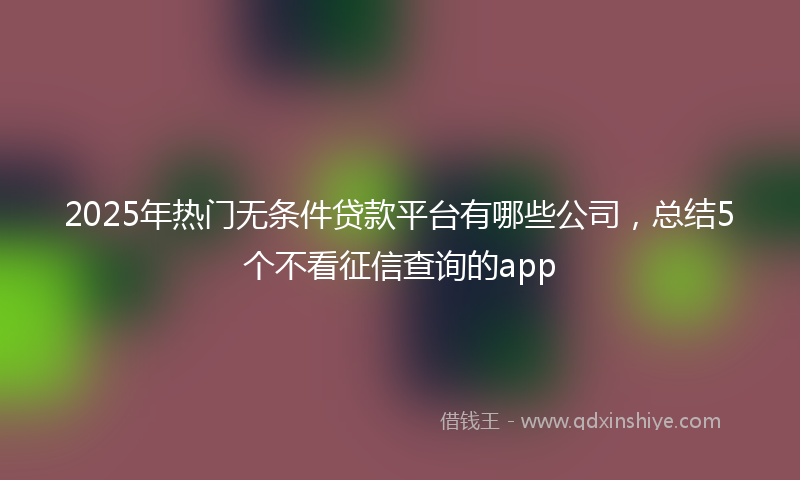 2025年热门无条件贷款平台有哪些公司，总结5个不看征信查询的app