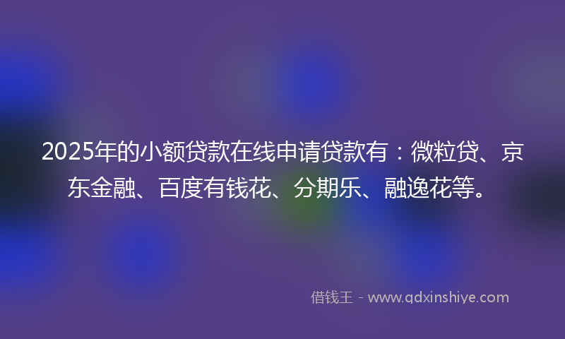 2025年的小额贷款在线申请贷款有：微粒贷、京东金融、百度有钱花、分期乐、融逸花等。