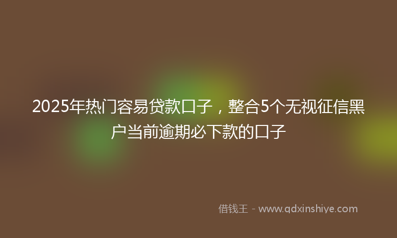 2025年热门容易贷款口子，整合5个无视征信黑户当前逾期必下款的口子