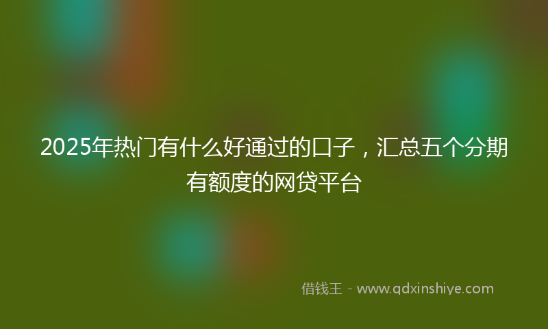 2025年热门有什么好通过的口子，汇总五个分期有额度的网贷平台