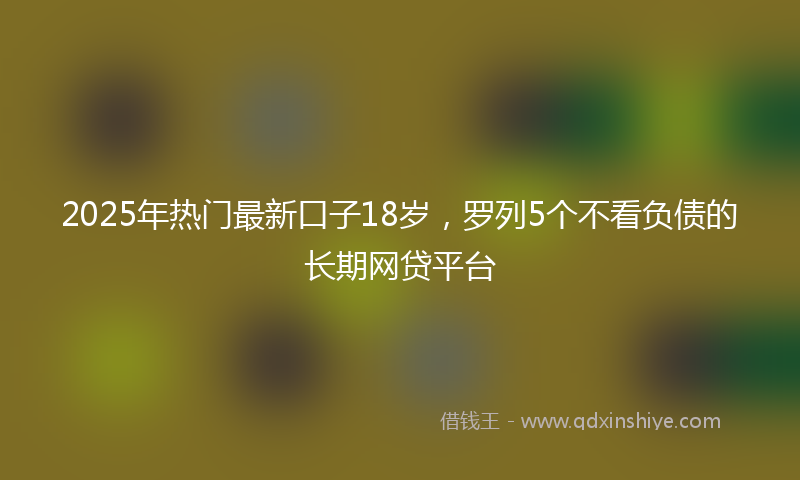 2025年热门最新口子18岁，罗列5个不看负债的长期网贷平台