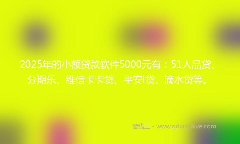 2025年的小额贷款软件5000元有：51人品贷、分期乐、维信卡卡贷、平安i贷、滴水贷等。