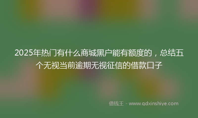 2025年热门有什么商城黑户能有额度的，总结五个无视当前逾期无视征信的借款口子