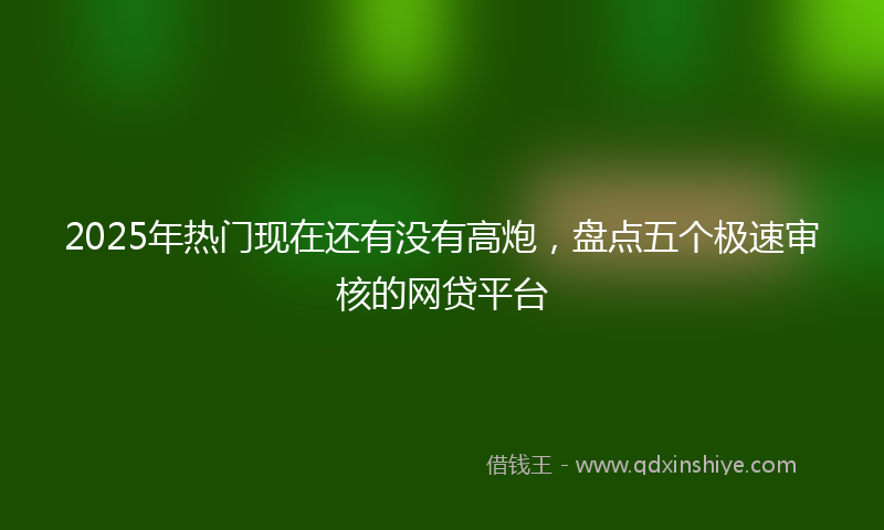 2025年热门现在还有没有高炮，盘点五个极速审核的网贷平台