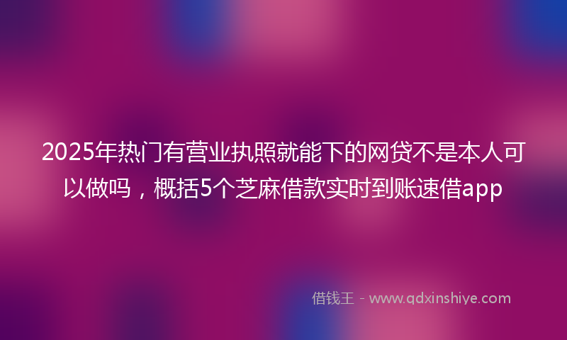 2025年热门有营业执照就能下的网贷不是本人可以做吗，概括5个芝麻借款实时到账速借app
