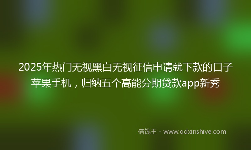 2025年热门无视黑白无视征信申请就下款的口子苹果手机，归纳五个高能分期贷款app新秀