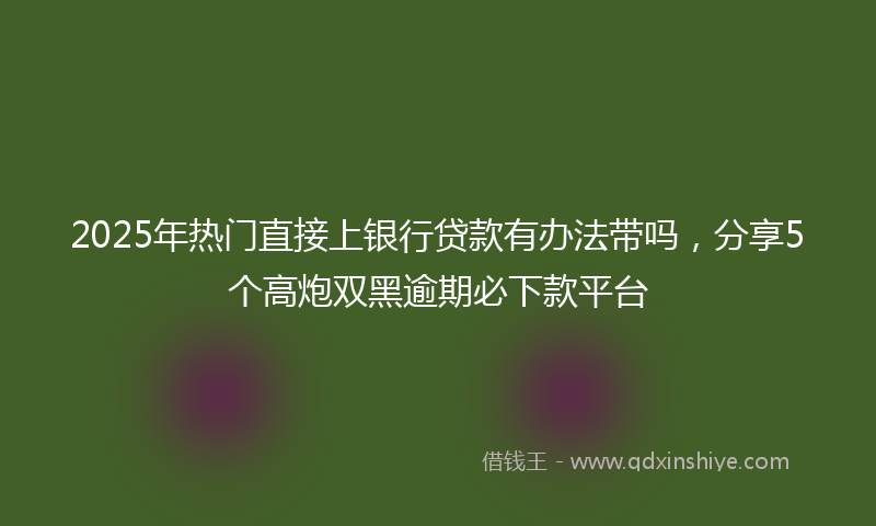 2025年热门直接上银行贷款有办法带吗，分享5个高炮双黑逾期必下款平台