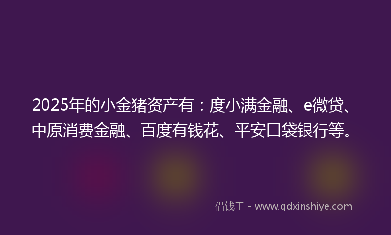 2025年的小金猪资产有：度小满金融、e微贷、中原消费金融、百度有钱花、平安口袋银行等。