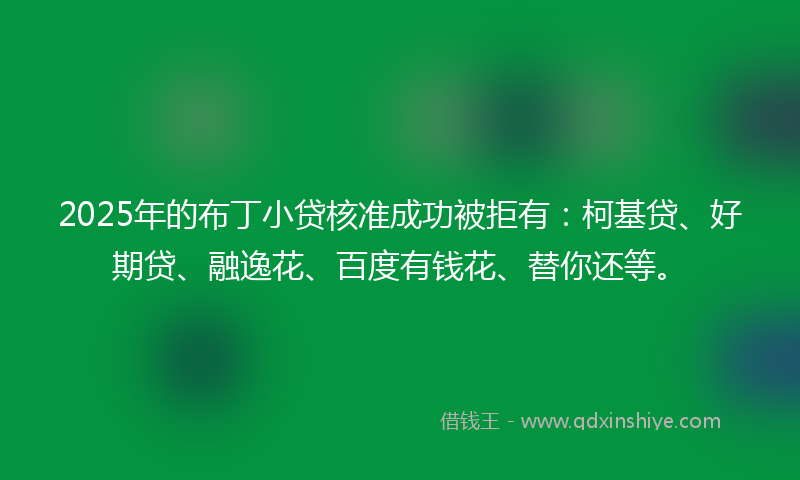 2025年的布丁小贷核准成功被拒有：柯基贷、好期贷、融逸花、百度有钱花、替你还等。