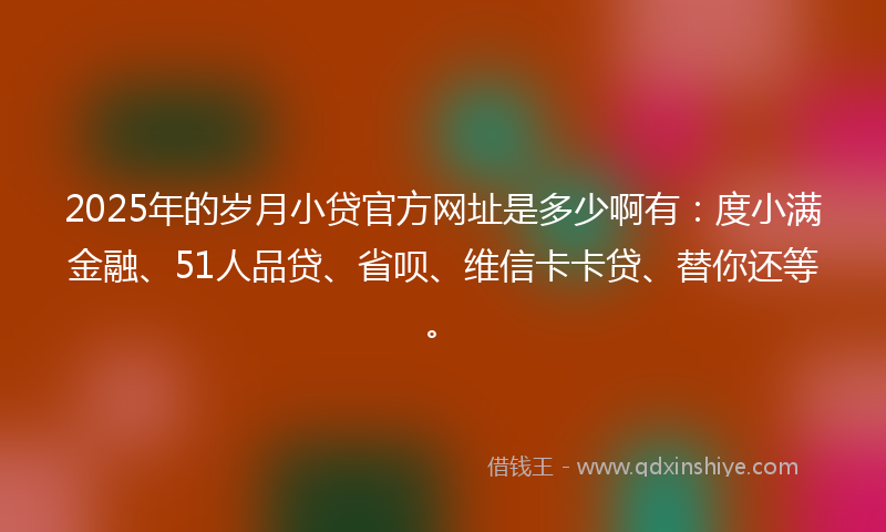 2025年的岁月小贷官方网址是多少啊有：度小满金融、51人品贷、省呗、维信卡卡贷、替你还等。