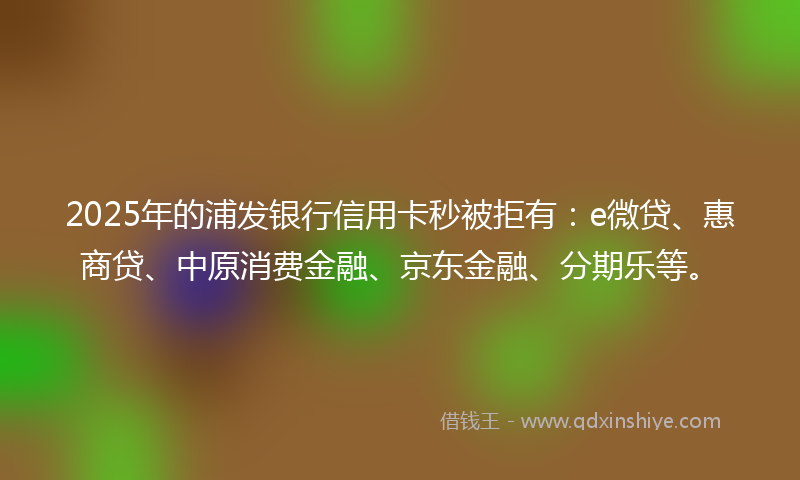 2025年的浦发银行信用卡秒被拒有：e微贷、惠商贷、中原消费金融、京东金融、分期乐等。