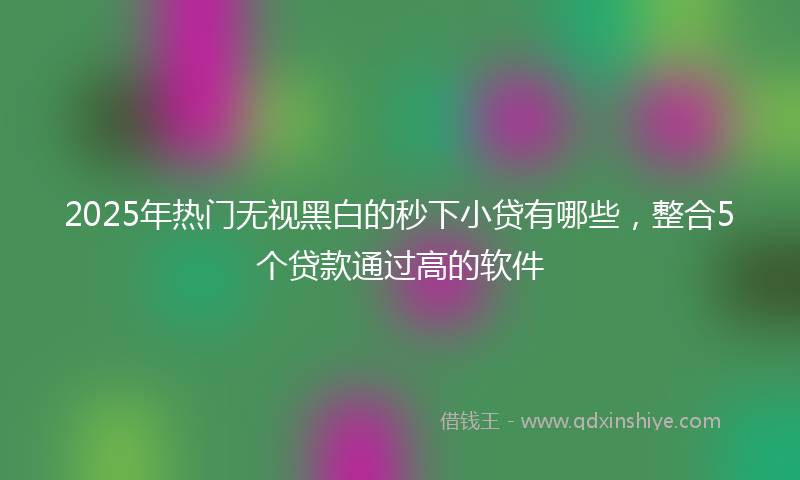 2025年热门无视黑白的秒下小贷有哪些，整合5个贷款通过高的软件