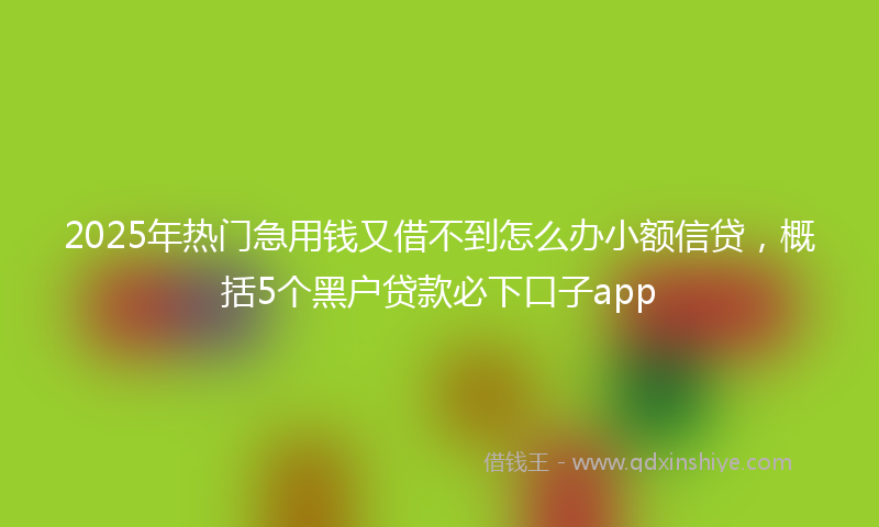 2025年热门急用钱又借不到怎么办小额信贷，概括5个黑户贷款必下口子app