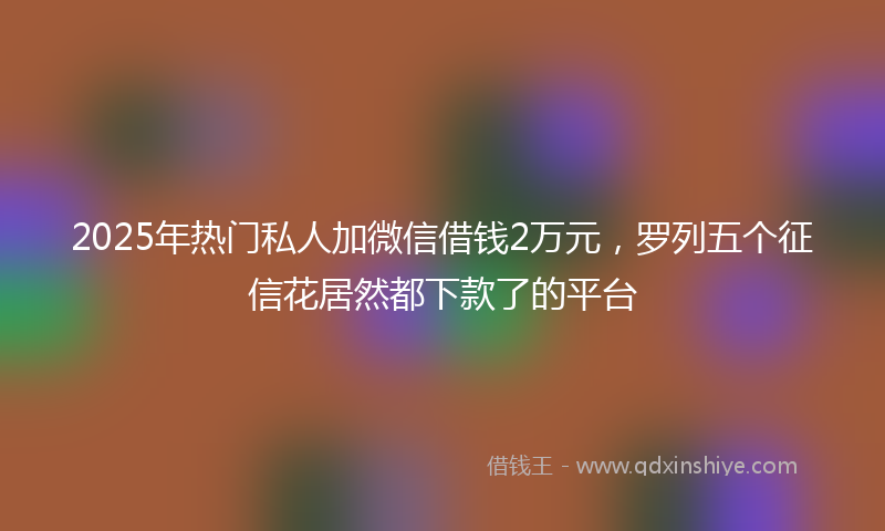 2025年热门私人加微信借钱2万元，罗列五个征信花居然都下款了的平台