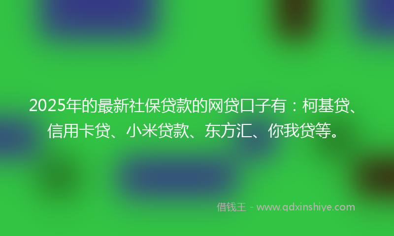 2025年的最新社保贷款的网贷口子有：柯基贷、信用卡贷、小米贷款、东方汇、你我贷等。