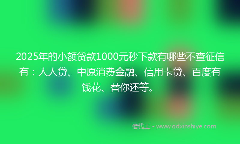 2025年的小额贷款1000元秒下款有哪些不查征信有：人人贷、中原消费金融、信用卡贷、百度有钱花、替你还等。