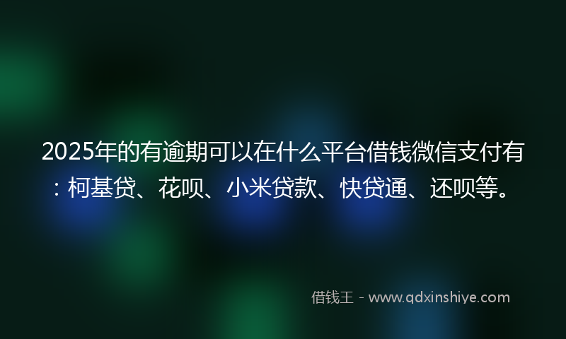 2025年的有逾期可以在什么平台借钱微信支付有：柯基贷、花呗、小米贷款、快贷通、还呗等。