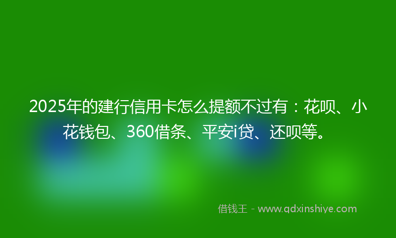 2025年的建行信用卡怎么提额不过有：花呗、小花钱包、360借条、平安i贷、还呗等。