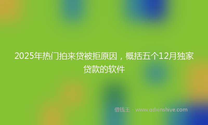 2025年热门拍来贷被拒原因，概括五个12月独家贷款的软件