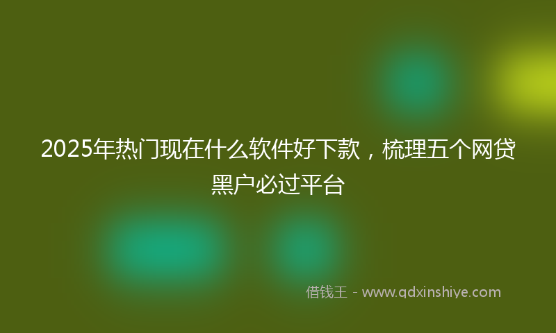 2025年热门现在什么软件好下款，梳理五个网贷黑户必过平台