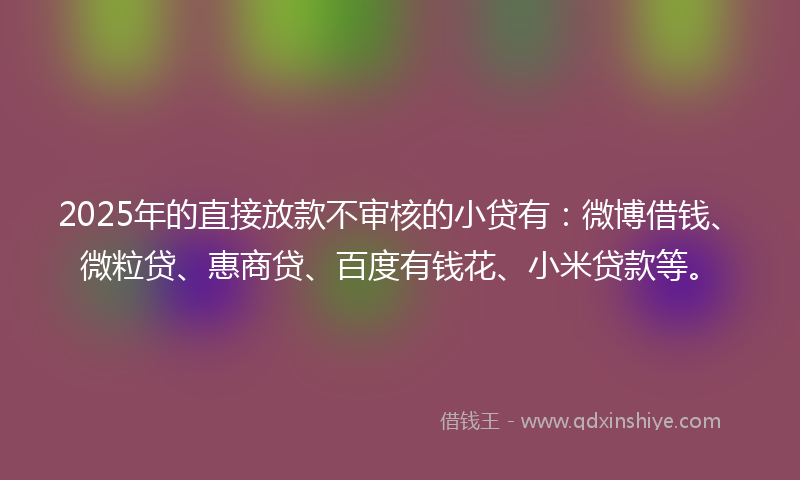 2025年的直接放款不审核的小贷有：微博借钱、微粒贷、惠商贷、百度有钱花、小米贷款等。