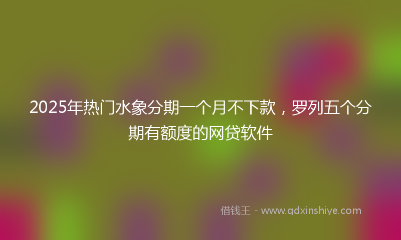 2025年热门水象分期一个月不下款，罗列五个分期有额度的网贷软件